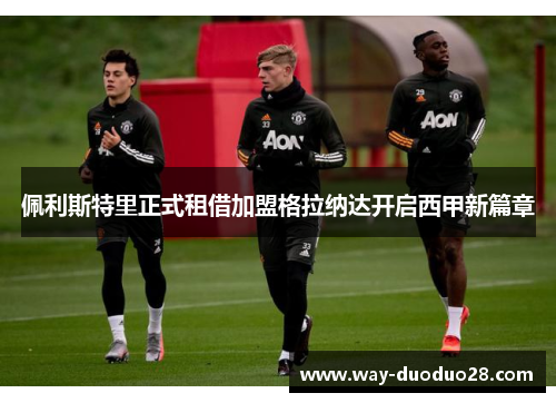 佩利斯特里正式租借加盟格拉纳达开启西甲新篇章