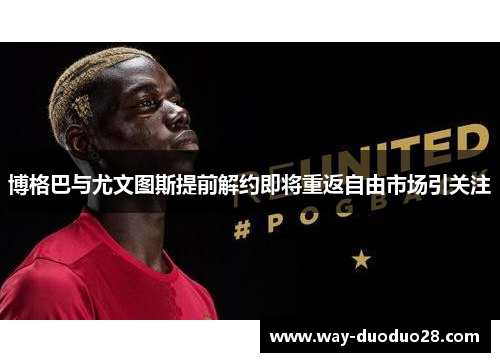博格巴与尤文图斯提前解约即将重返自由市场引关注