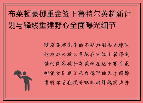 布莱顿豪掷重金签下鲁特尔英超新计划与锋线重建野心全面曝光细节